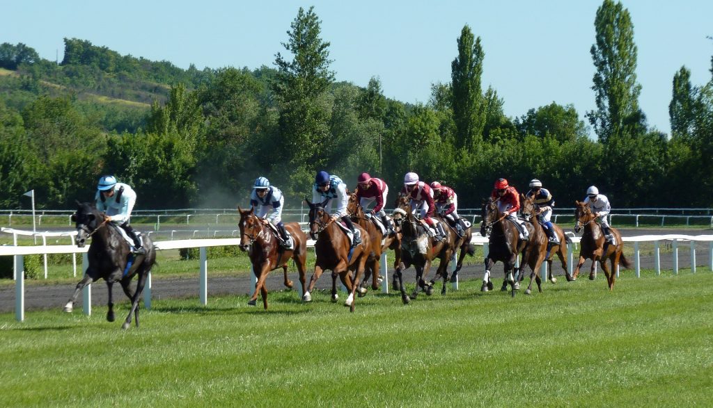 Image of a Horse Race